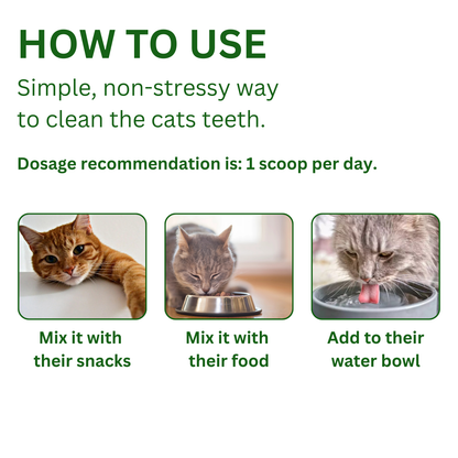 Glovoro™ - Cat Dental Powder