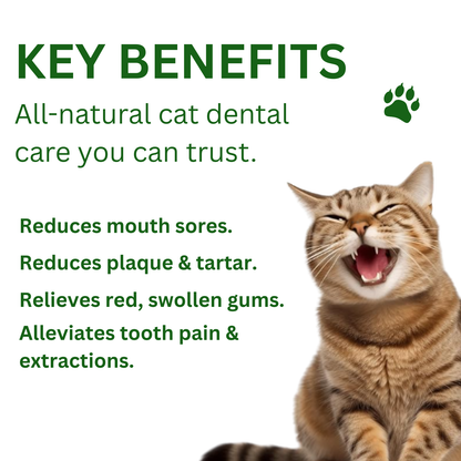 Glovoro™ - Cat Dental Powder