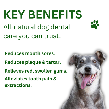 Glovoro™ - Dog Dental Powder