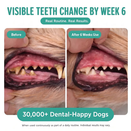 Glovoro™ - Dog Dental Powder