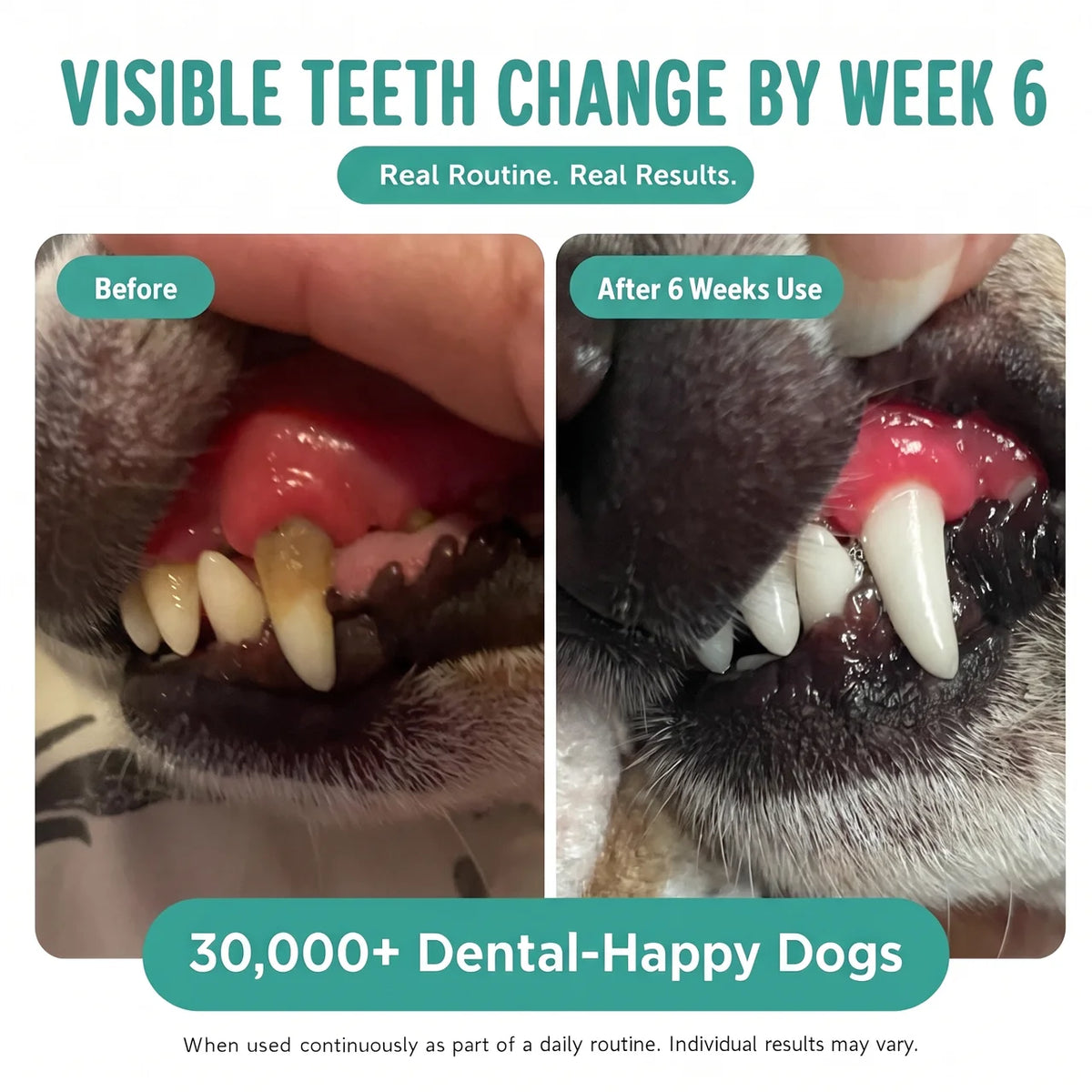 Glovoro™ - Dog Dental Powder